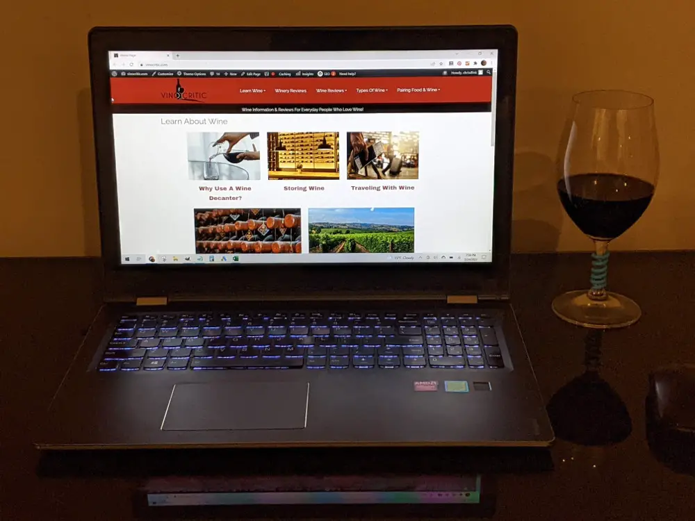 Wine Careers Vino Critic